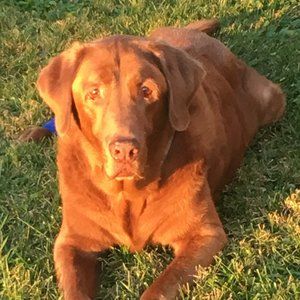 Meet your Posher, Connie